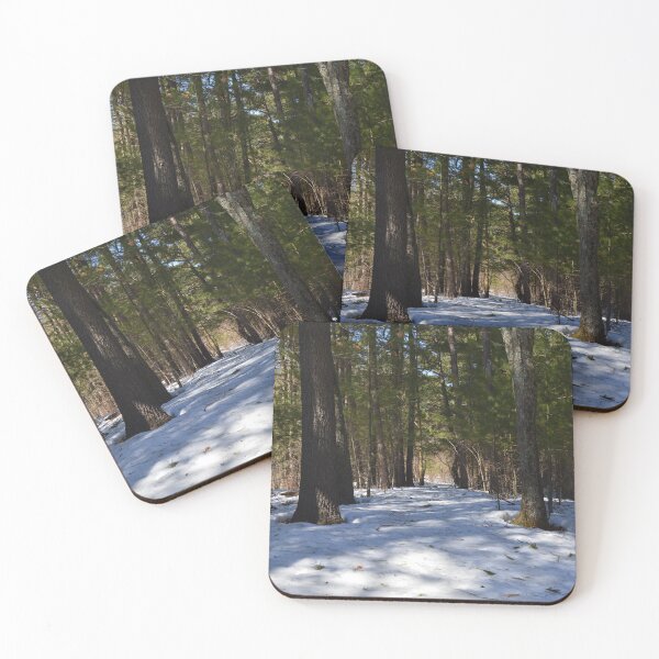 Item preview, Snowy Path designed and sold by ALenihanPhoto.