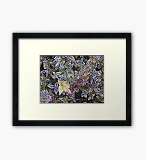 SURVIVAL Framed Print