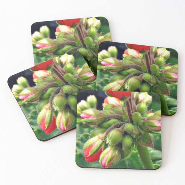 Item preview, Magic Moments - Reddish-Pink Geranium Buds Emerging designed and sold by BlueMoonRose.