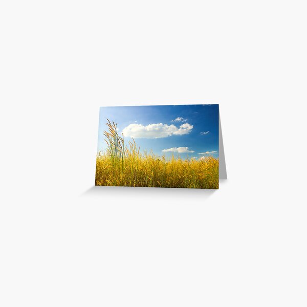 Unexpected - Landscape with Cattails and Cloud in Blue Sky Greeting Card