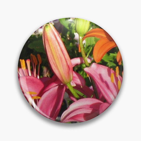Artikelvorschau, Aufstand der Farbe - öffnende Lily Buds Vignette entworfen und verkauft von BlueMoonRose.
