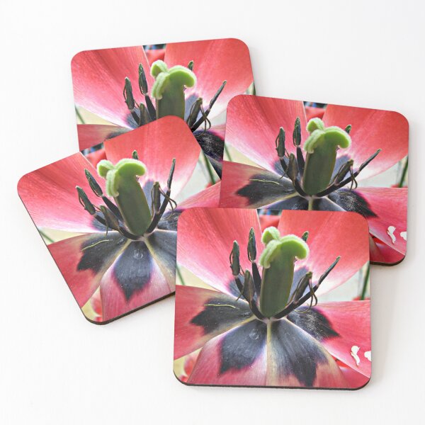 Item preview, Reproductive Apparatus - Red Tulip Supermacro designed and sold by BlueMoonRose.