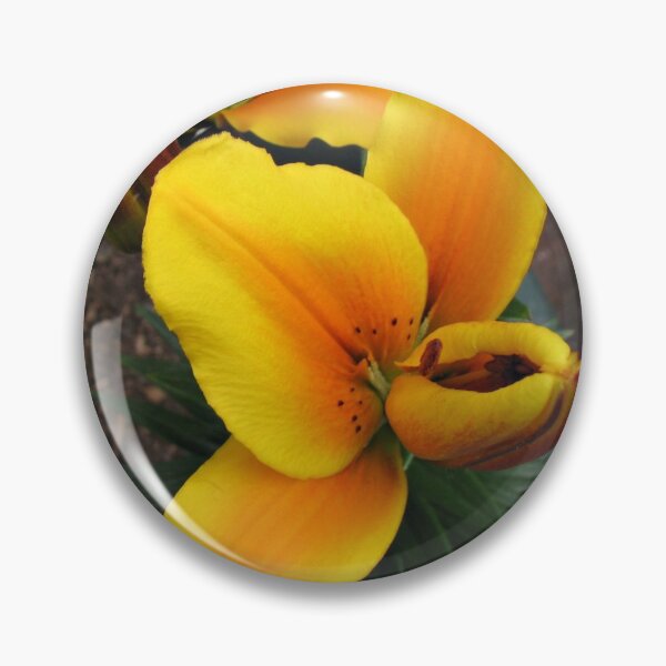 Item preview, Anther Emerging - Lily Bud Opening designed and sold by BlueMoonRose.
