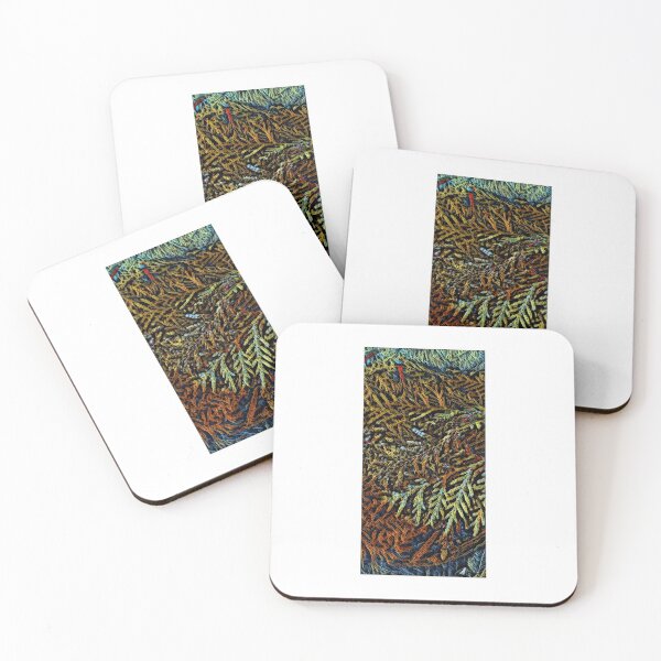 Item preview, Cedro - Medicina designed and sold by Giiniw-Ikwe.