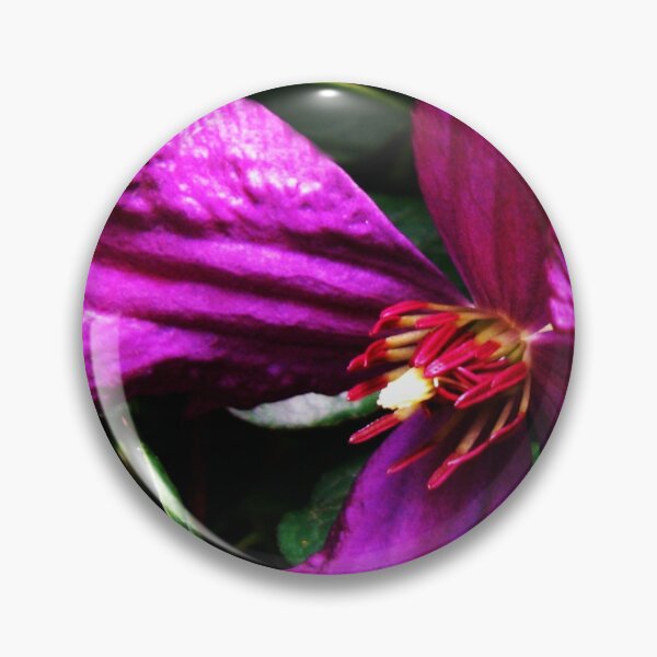 Item preview, Gorgeous Purple Clematis Macro designed and sold by BlueMoonRose.