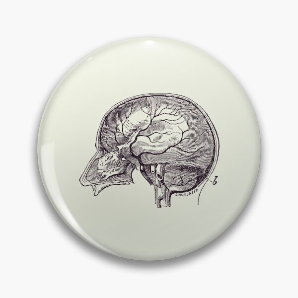 Item preview, Brain Diagram Two - Anatomy Poster 2 designed and sold by VAposters.