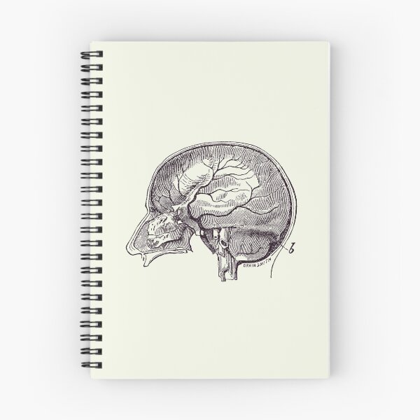 Item preview, Brain Diagram Two - Anatomy Poster 2 designed and sold by VAposters.