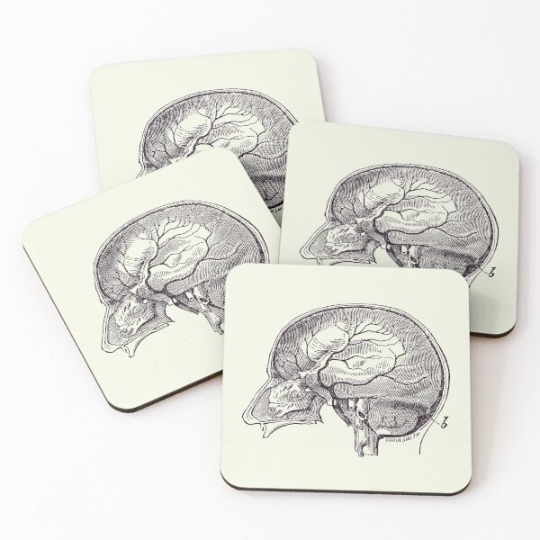 Item preview, Brain Diagram Two - Anatomy Poster 2 designed and sold by VAposters.