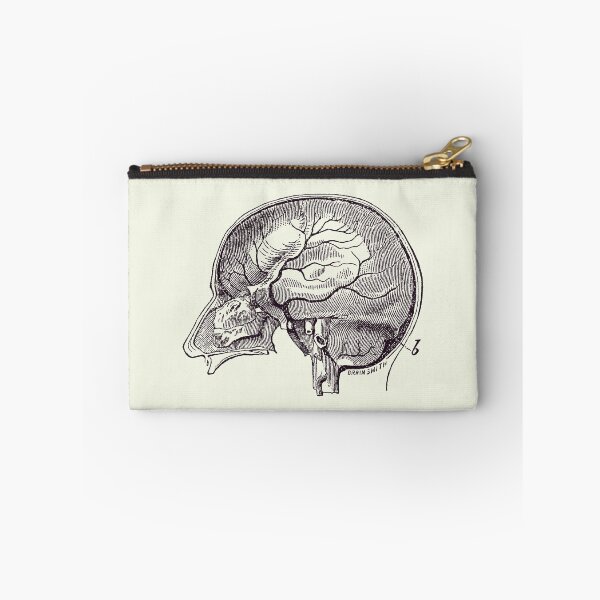 Item preview, Brain Diagram Two - Anatomy Poster 2 designed and sold by VAposters.