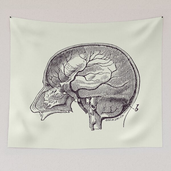 Item preview, Brain Diagram Two - Anatomy Poster 2 designed and sold by VAposters.