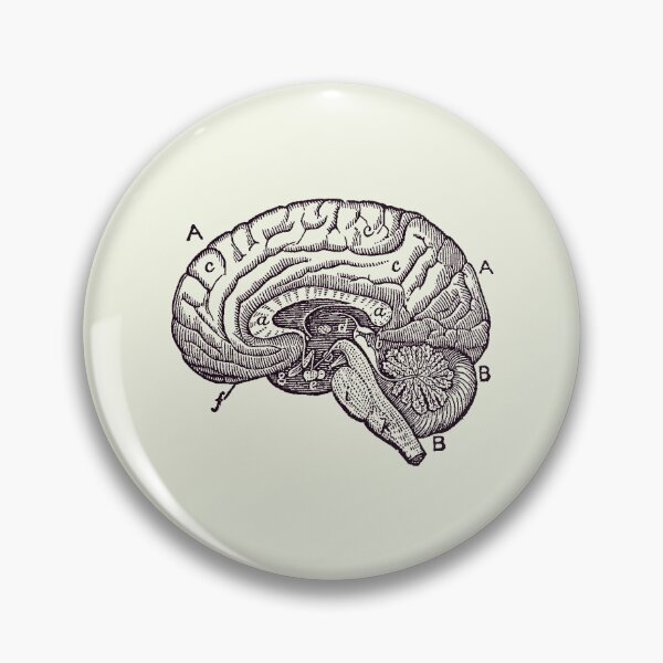 Item preview, Simple Brain Diagram - Anatomy Poster 2 designed and sold by VAposters.