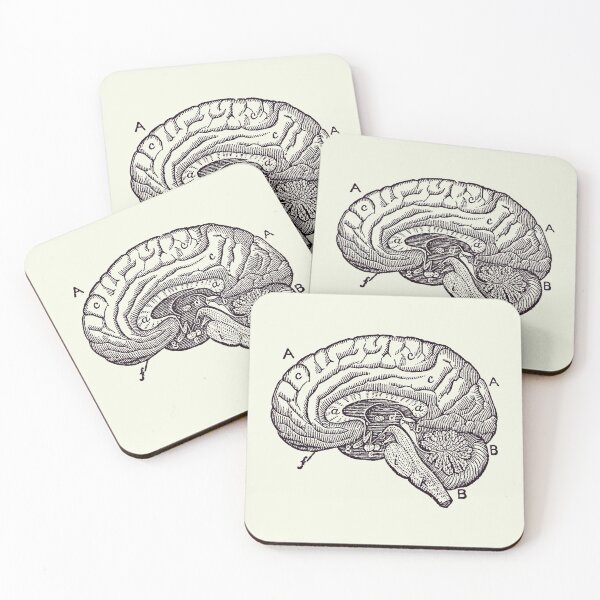 Item preview, Simple Brain Diagram - Anatomy Poster 2 designed and sold by VAposters.