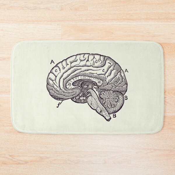 Item preview, Simple Brain Diagram - Anatomy Poster 2 designed and sold by VAposters.