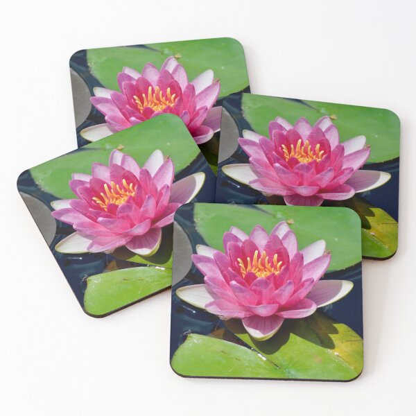 Item preview, Pink Waterlily with Friends designed and sold by richardbryce.