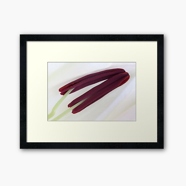 coiled up! Framed Art Print