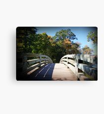 Pathway to... Canvas Print
