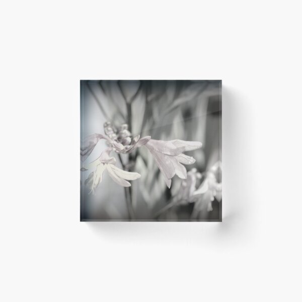 Item preview, flowers by the Methodist church in Rainier 5 designed and sold by Dawna Morton.