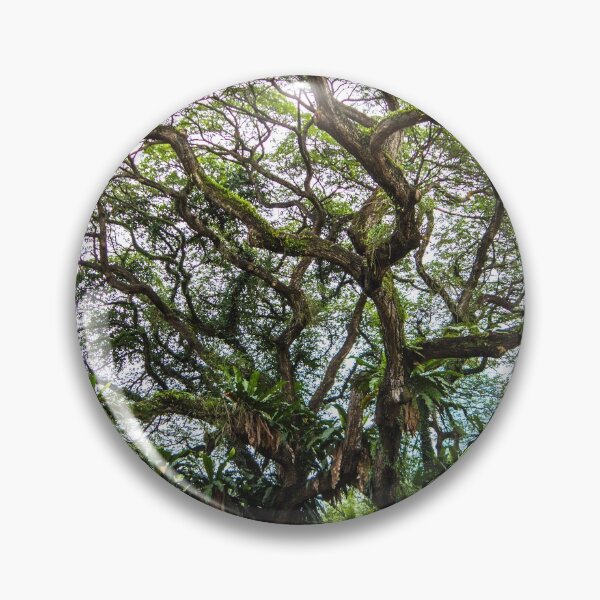 Item preview, Glorious raintree designed and sold by AnnaKT.