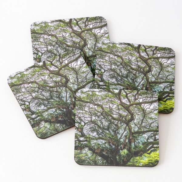 Item preview, Glorious raintree designed and sold by AnnaKT.