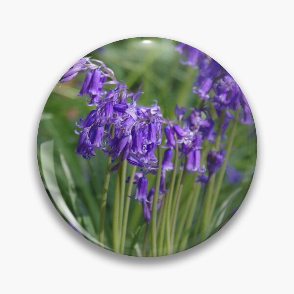 Item preview, English Bluebells (Hyacinthoides non-scripta) designed and sold by lezvee.