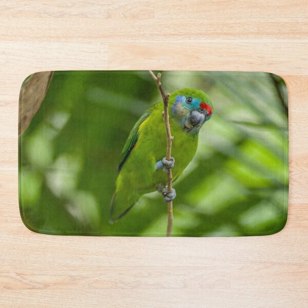 Item preview, Double Eyed Fig Parrot (Female) designed and sold by TGrowden.