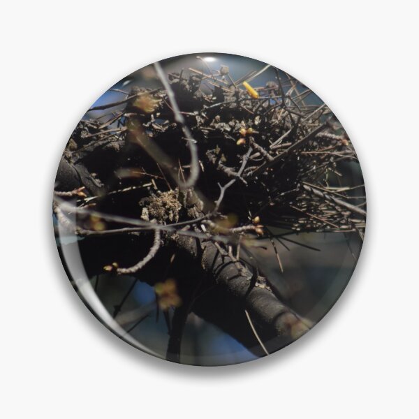 Item preview, Empty birds nest in tree designed and sold by CameliaC.