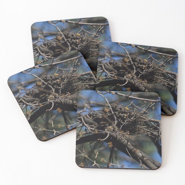 Item preview, Empty birds nest in tree designed and sold by CameliaC.