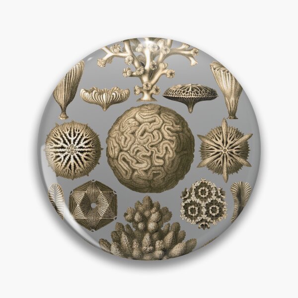 Item preview, Hexacoralla, a subclass of corals. designed and sold by Squirrox.