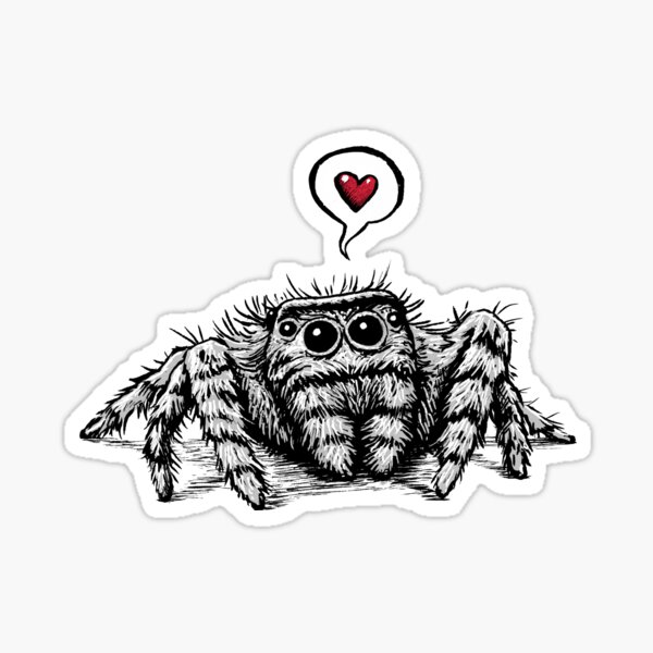 Spider Love Sticker