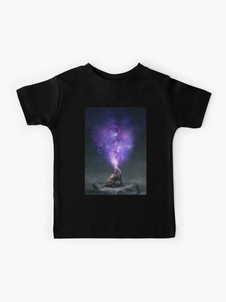 【IFYOUWANT】Nebula T-shirt JWST hexagons embroidered Nebula unisex t-shirt – Spacefib