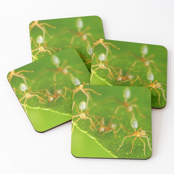 Item preview, Green defenders designed and sold by AnnaKT.