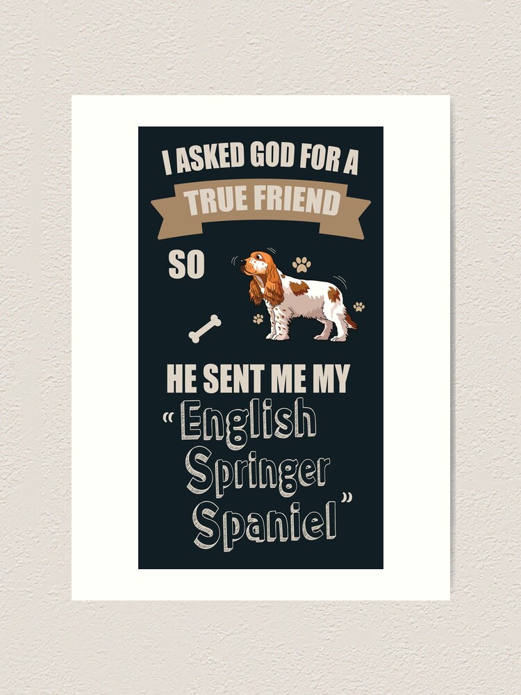 i love my springer spaniel