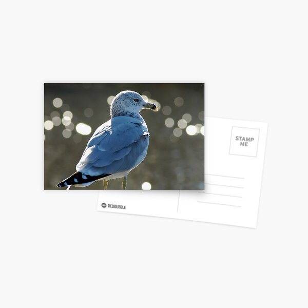 Item preview, Sam the Gull Amidst the Coming of Winter designed and sold by Wviolet28.