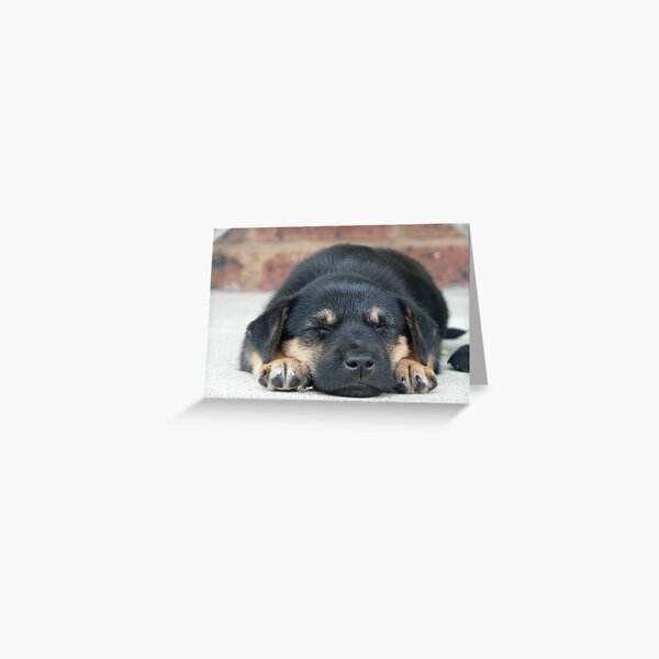 zzzzzzzzzzZoe......... Greeting Card