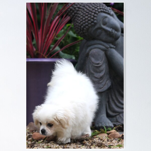 Item preview, Lucy  designed and sold by Globalphotos.