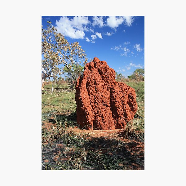 Item preview, Termite mound. Fitzroy Crossing designed and sold by Ian Ramsay.