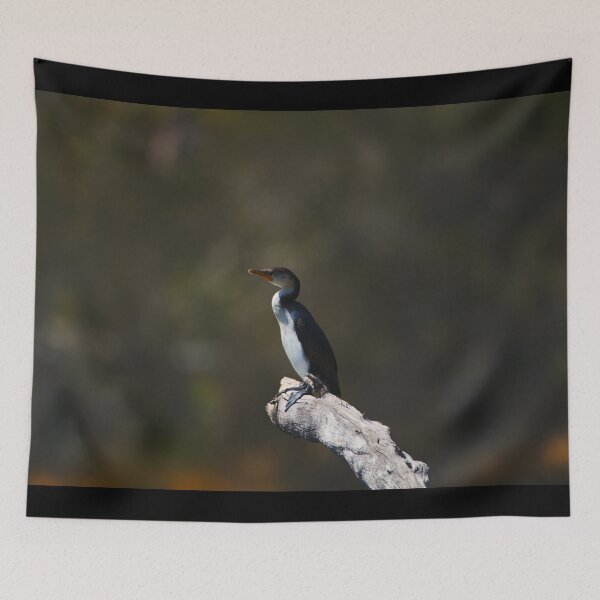 Item preview, A Shag Perched Looking Out Over The River designed and sold by Jason Gilbert.