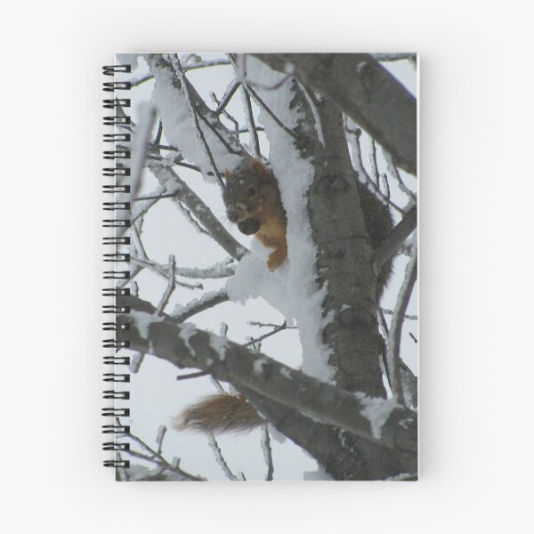 Item preview, Squirrel preparing for winter.  designed and sold by PrintArtdotUS.
