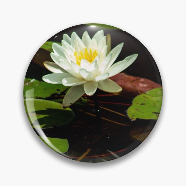 Item preview, Reflections of a Lake designed and sold by ValueEveryThing.
