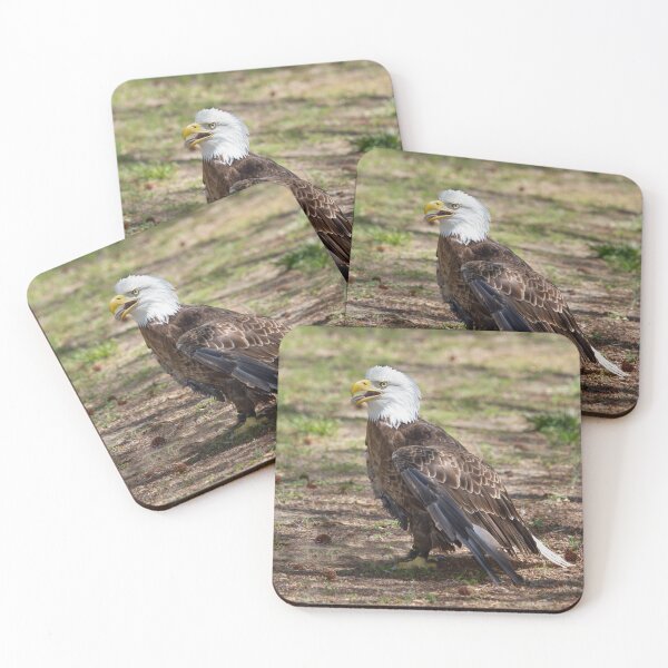 Item preview, Regal Bald Eagle designed and sold by Squirrel-Girl.