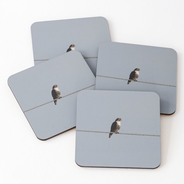 Item preview, Hawk designed and sold by Susie Kramer.