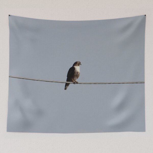 Item preview, Hawk designed and sold by Susie Kramer.