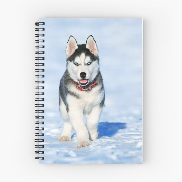 Item preview, Siberian Husky puppy white and black designed and sold by JN14364JN.