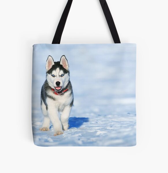husky accessories
