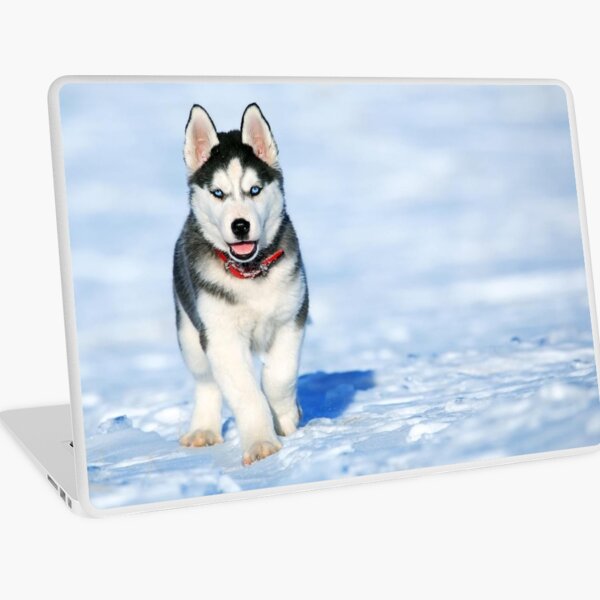 Item preview, Siberian Husky puppy white and black designed and sold by JN14364JN.