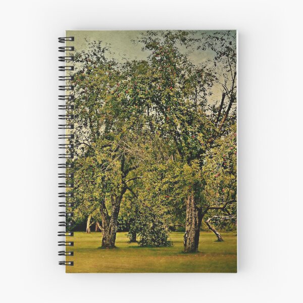 Item preview, The King's Garden designed and sold by Scott Mitchell.