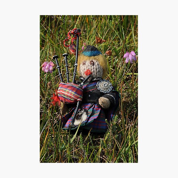 Scotty plays the Pipes beside the Cross-leaved Heath Photographic Print