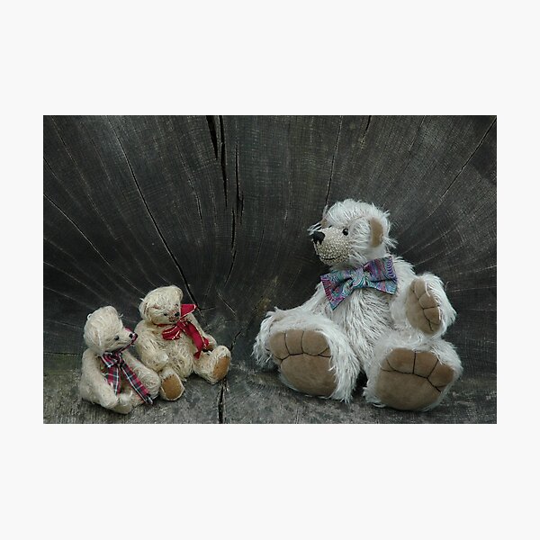Larry and Friends Photographic Print