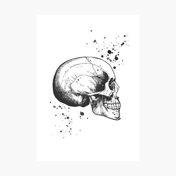 Skull Art • Illustration With Splashes • White • Goth Photographic Print
