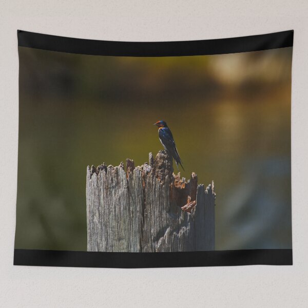 Item preview, A Swallow Standing Alert On A Marina Pole designed and sold by Jason Gilbert.
